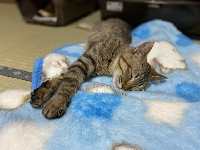 3番目のメイン画像