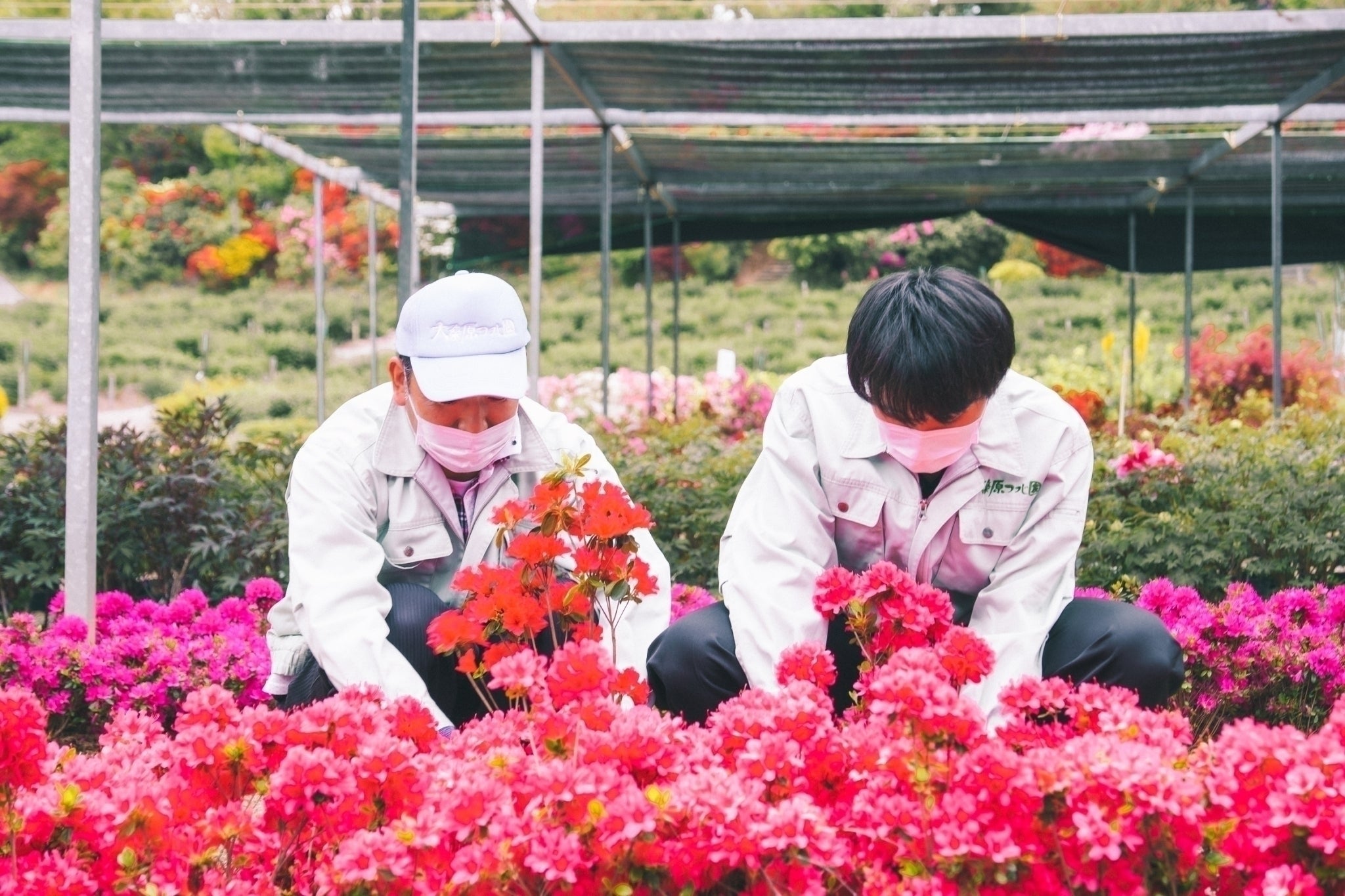 5番目のメイン画像