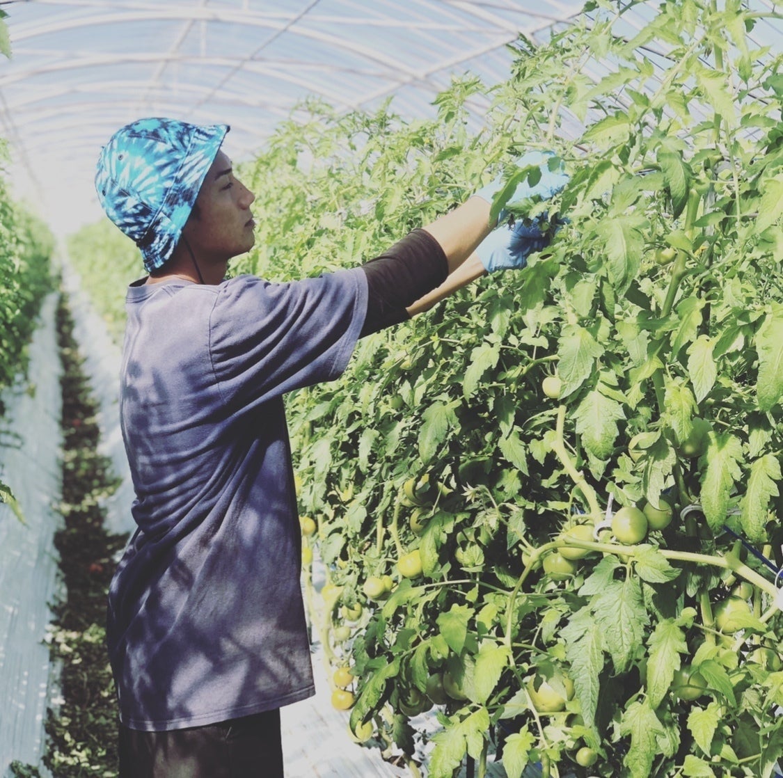 5番目のメイン画像