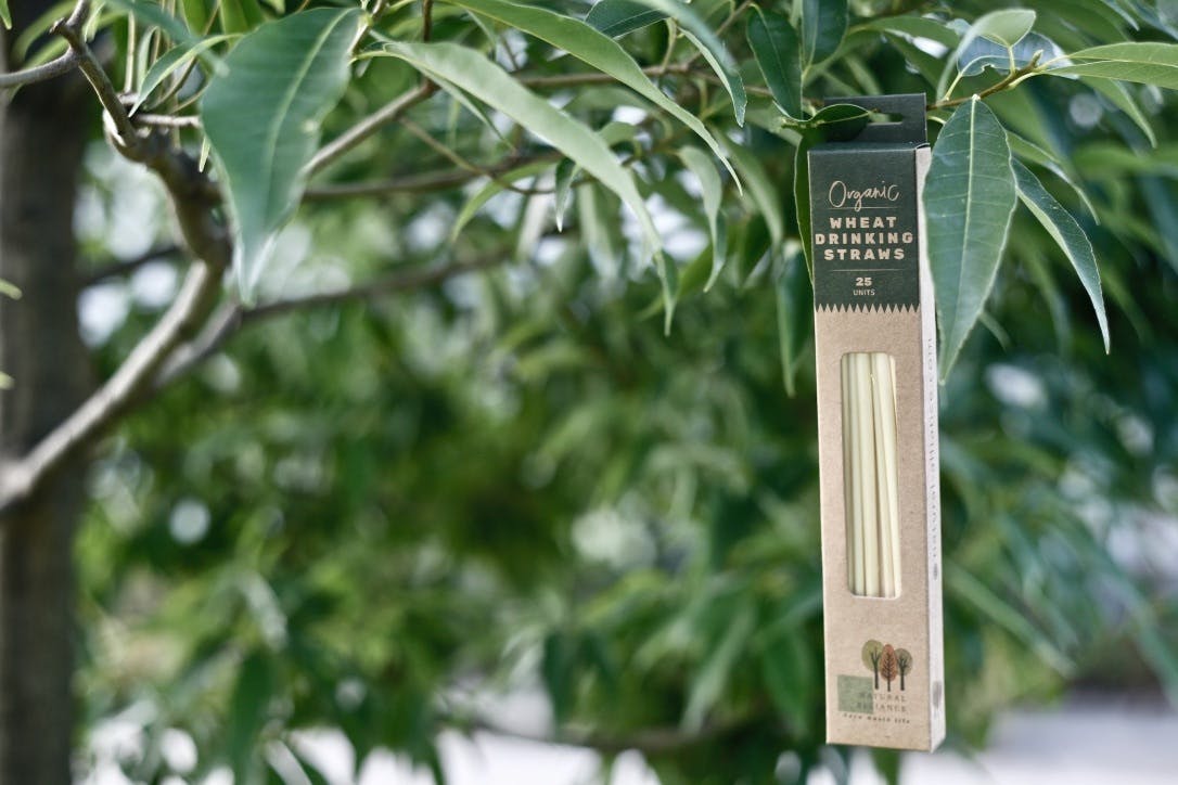 製造 販売 使用後までゴミを無くす 植物性時代 麦わらストロー Campfire キャンプファイヤー 製造 販売 使用後までゴミを無くす 植物性時代 麦わらストロー Campfire キャンプファイヤー