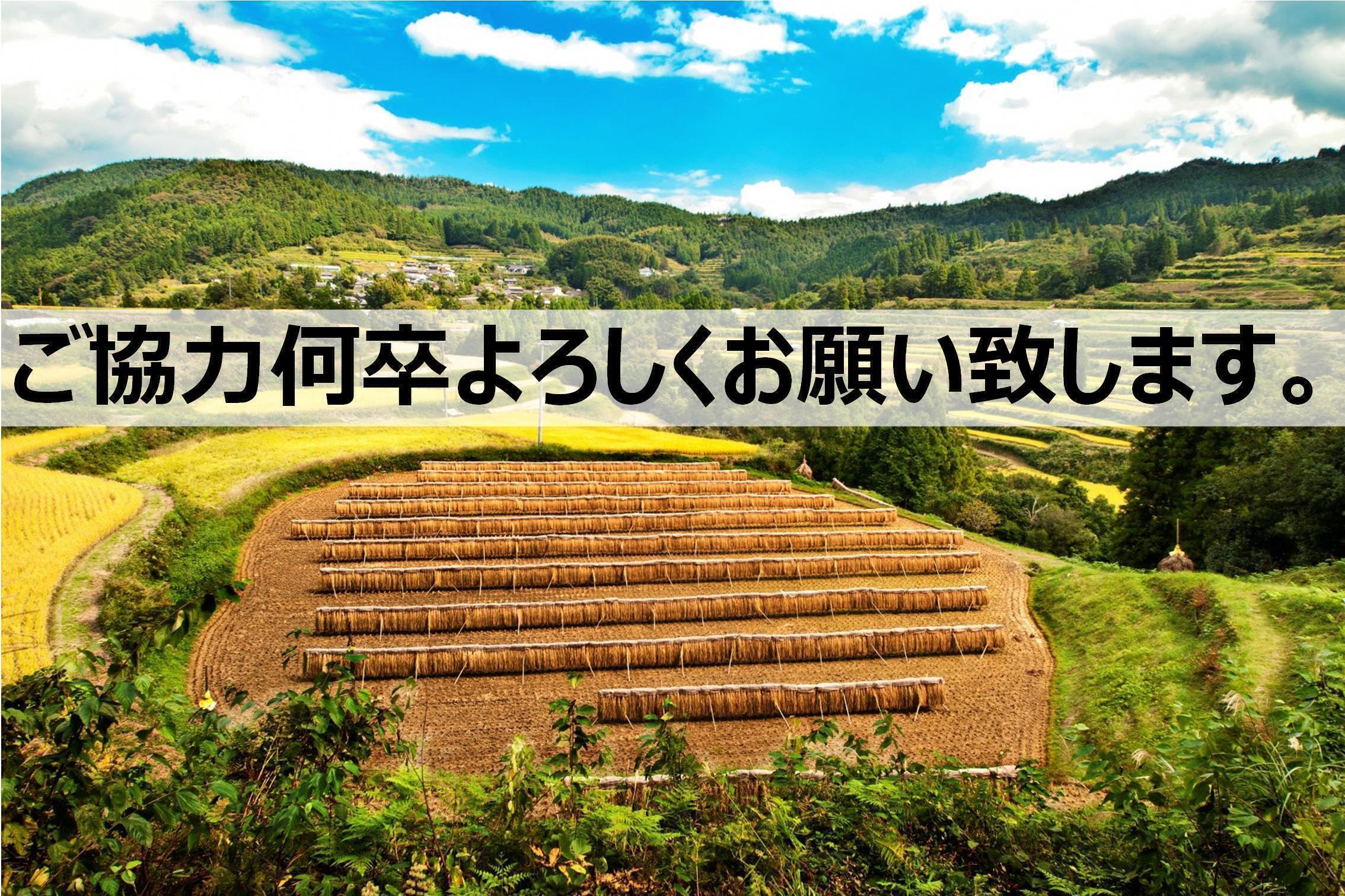 日本一になったお米「土佐天空の郷」を応援してください