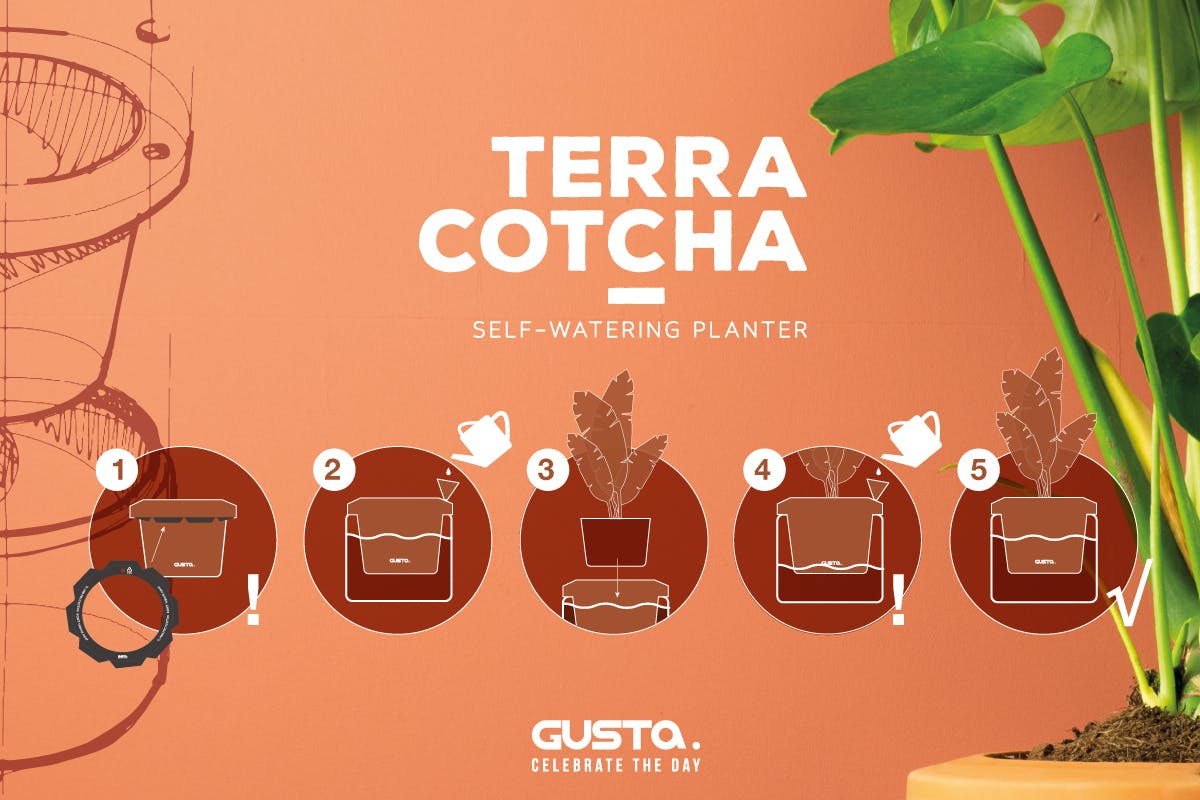 電源不要で自動給水 ガラスと陶器の映えるプランター Terra Cotcha Campfire キャンプファイヤー 電源不要で自動給水 ガラスと陶器の映えるプランター Terra Cotcha Campfire キャンプファイヤー