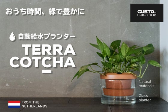 Terra Cotcha