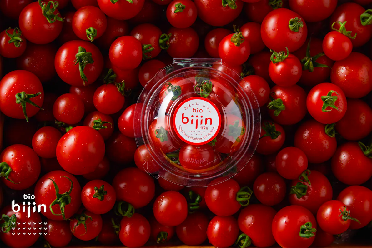 コロナに負けない びじんトマトでタイの食卓をハッピーに Campfire キャンプファイヤー コロナに負けない びじんトマトでタイの食卓をハッピーに Campfire キャンプファイヤー