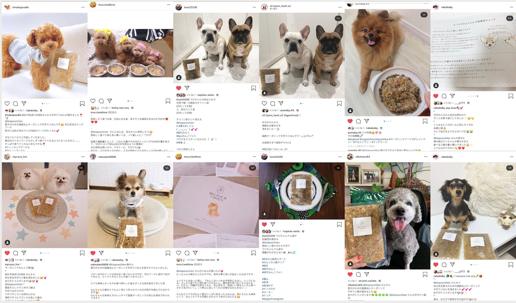 愛犬のための国産allオーガニック手作りごはん 愛犬を身体の中から健康に Campfire キャンプファイヤー 愛犬のための国産allオーガニック手作りごはん 愛犬を身体の中から健康に Campfire キャンプファイヤー