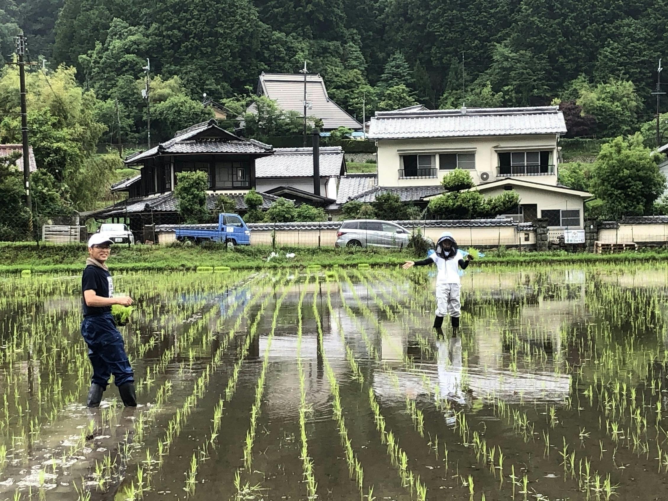 能勢のお米