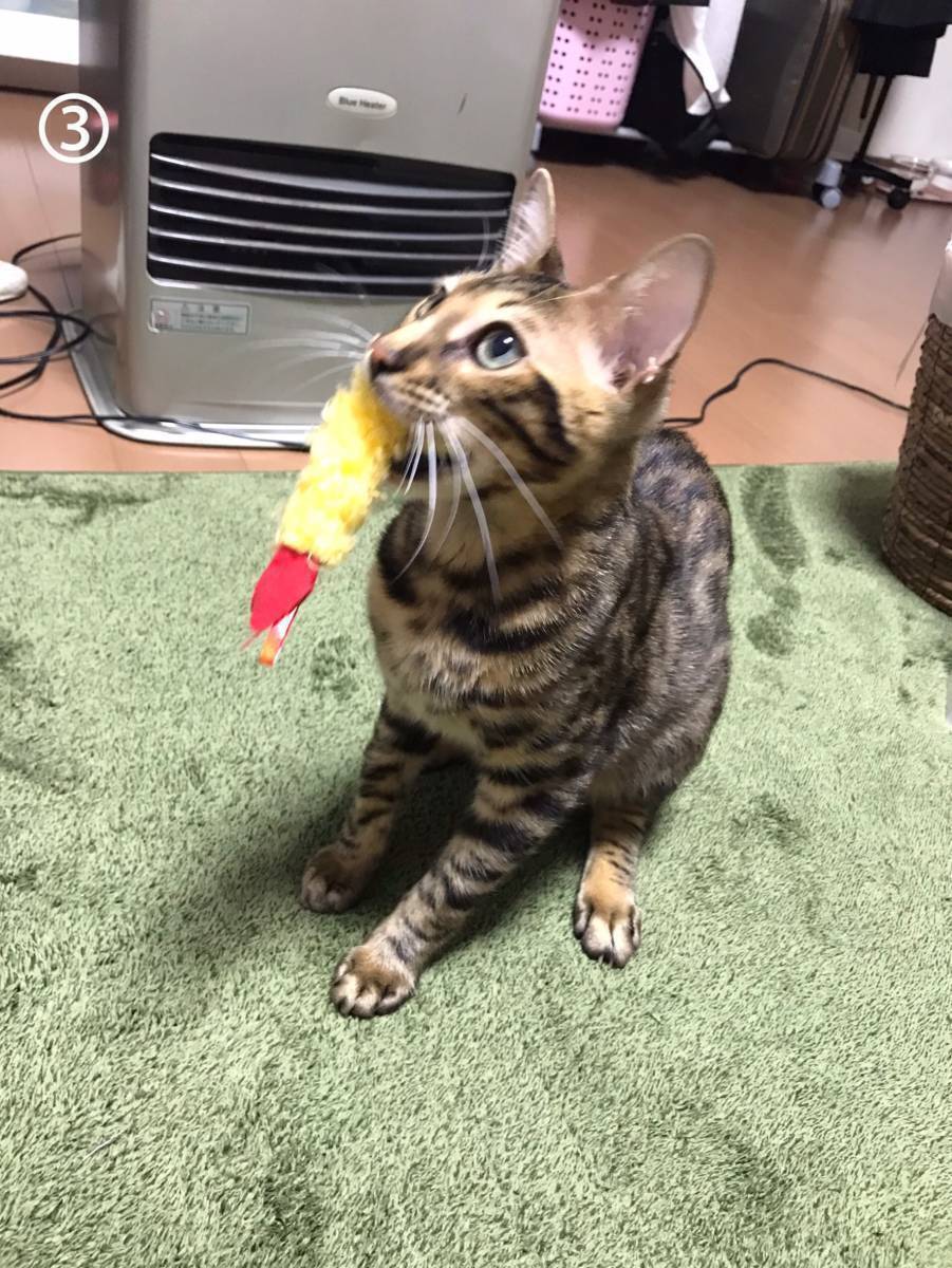 5番目のメイン画像