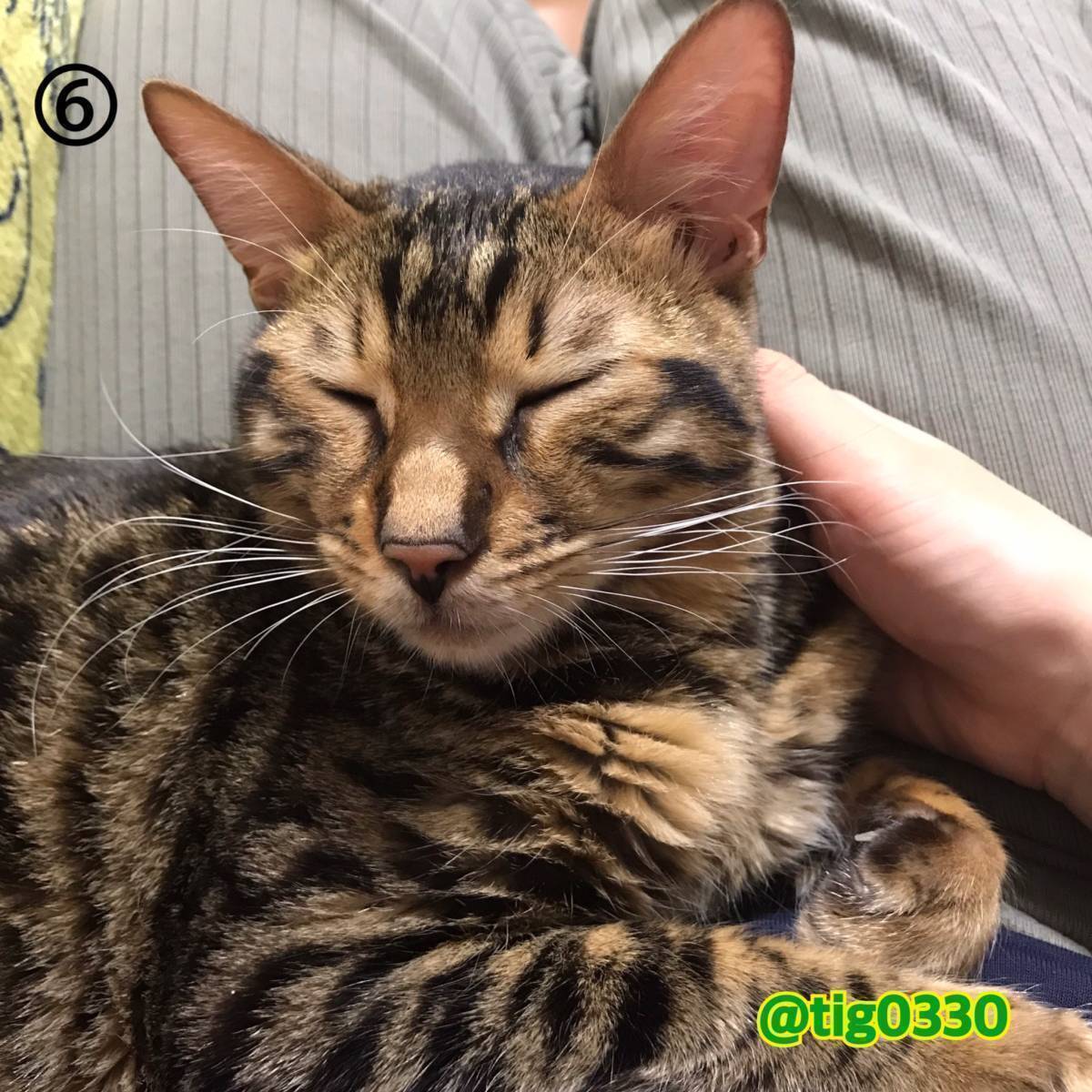 4番目のメイン画像