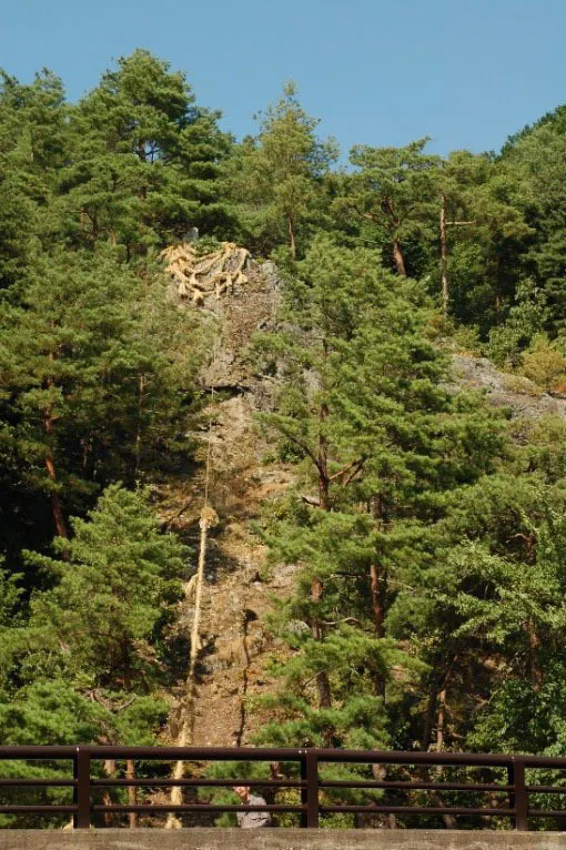 3番目のメイン画像