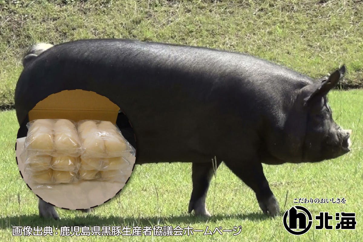 ふるさと納税 南九州市 鹿児島黒豚100%使用!手包み黒豚まん12個 - 肉