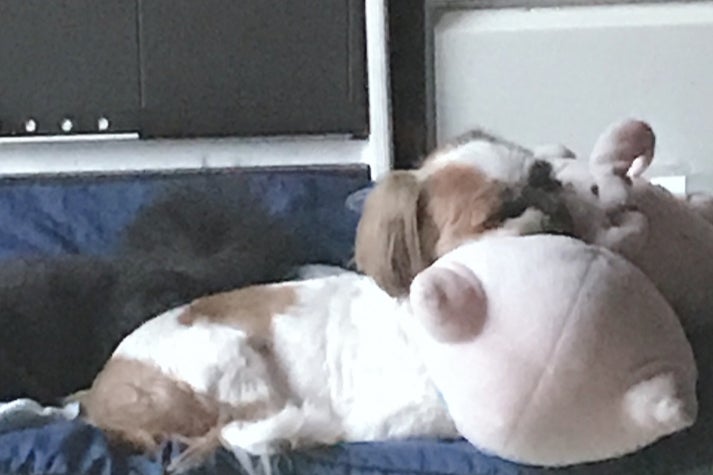 1番目のメイン画像