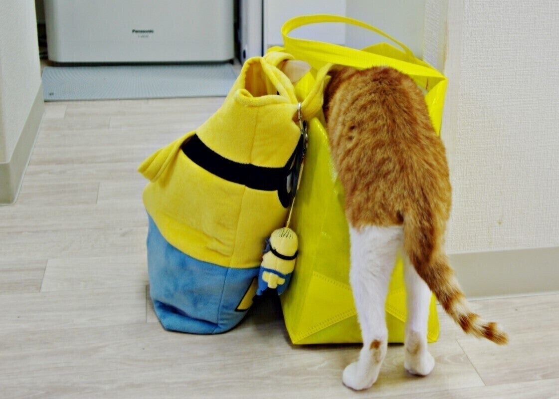 3番目のメイン画像