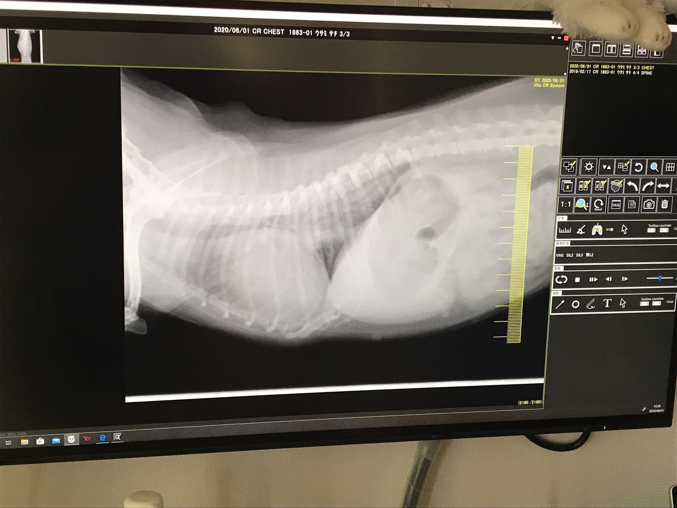 4番目のメイン画像