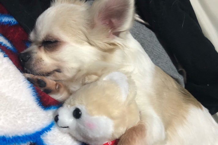 1番目のメイン画像