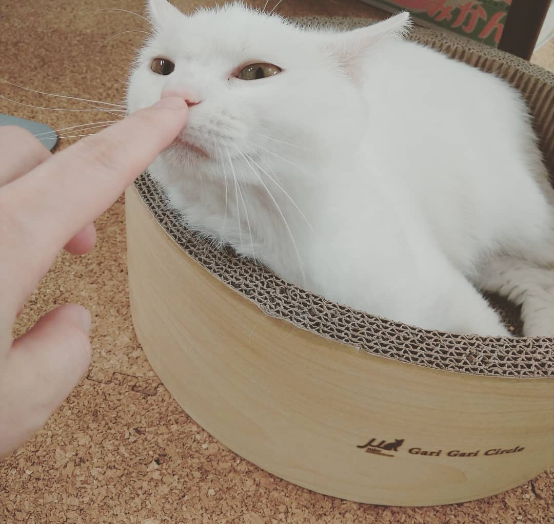 3番目のメイン画像