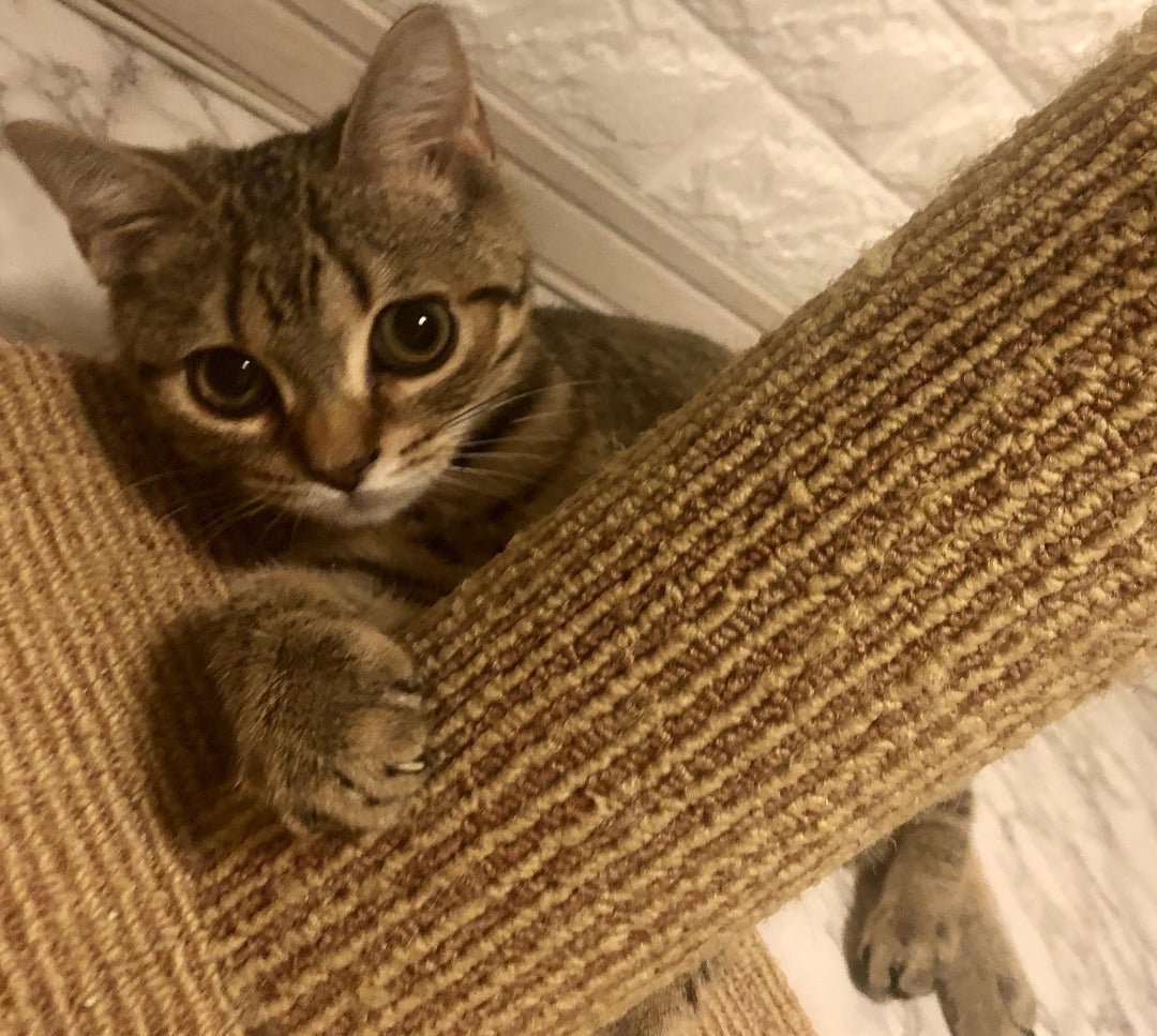 3番目のメイン画像