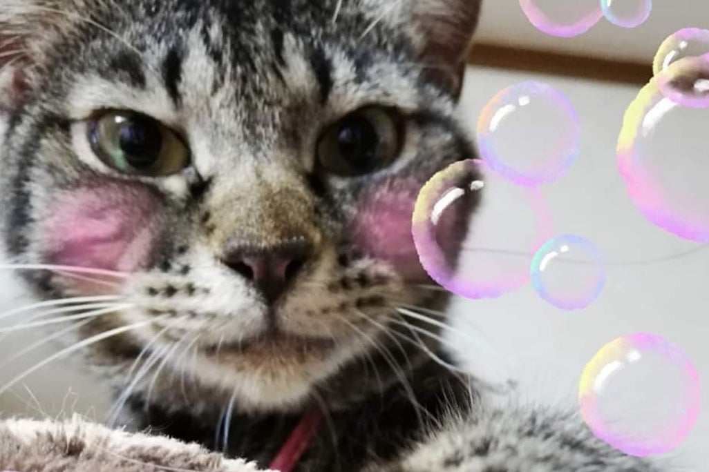 1番目のメイン画像