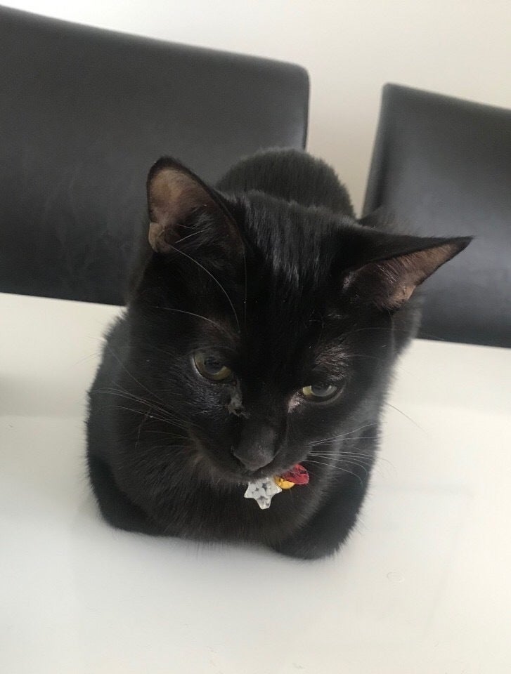 2番目のメイン画像