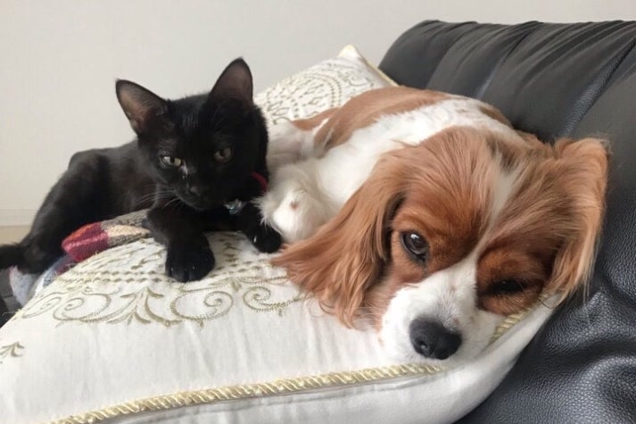 1番目のメイン画像