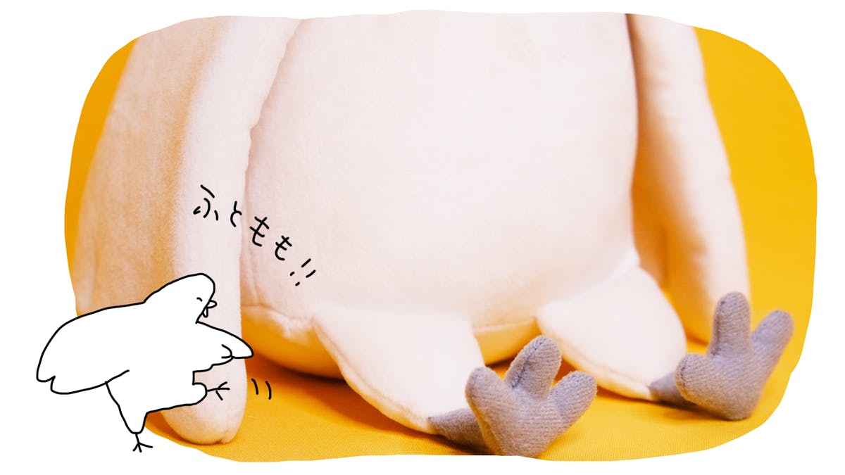 5番目のメイン画像