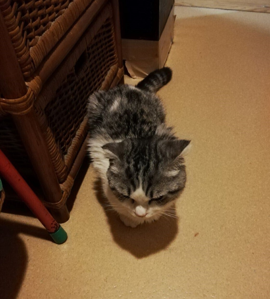 3番目のメイン画像