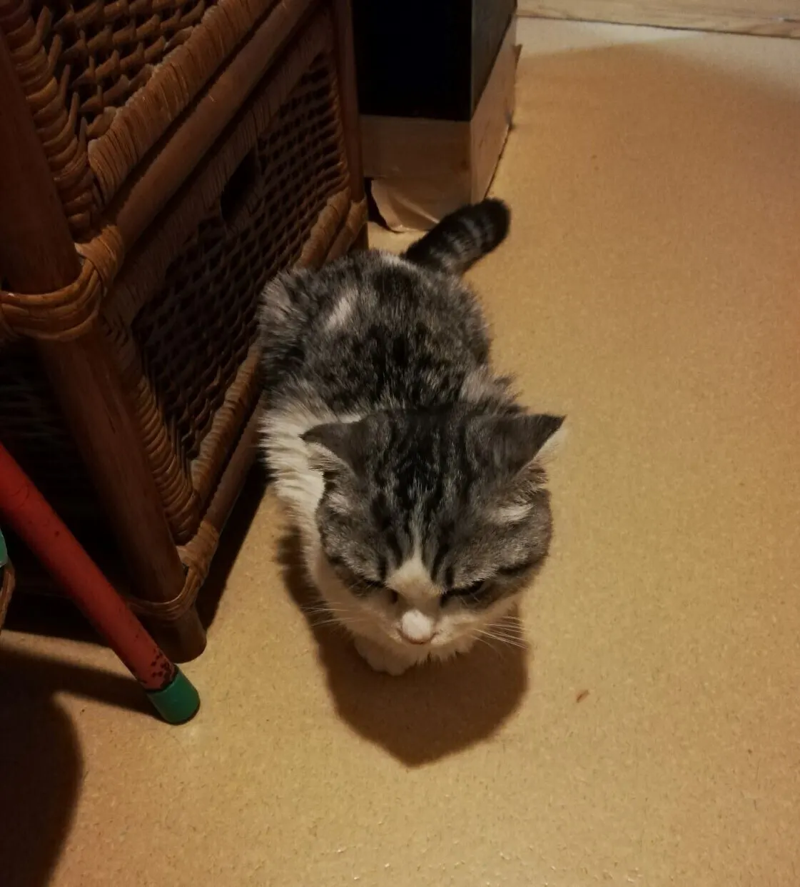 3番目のメイン画像