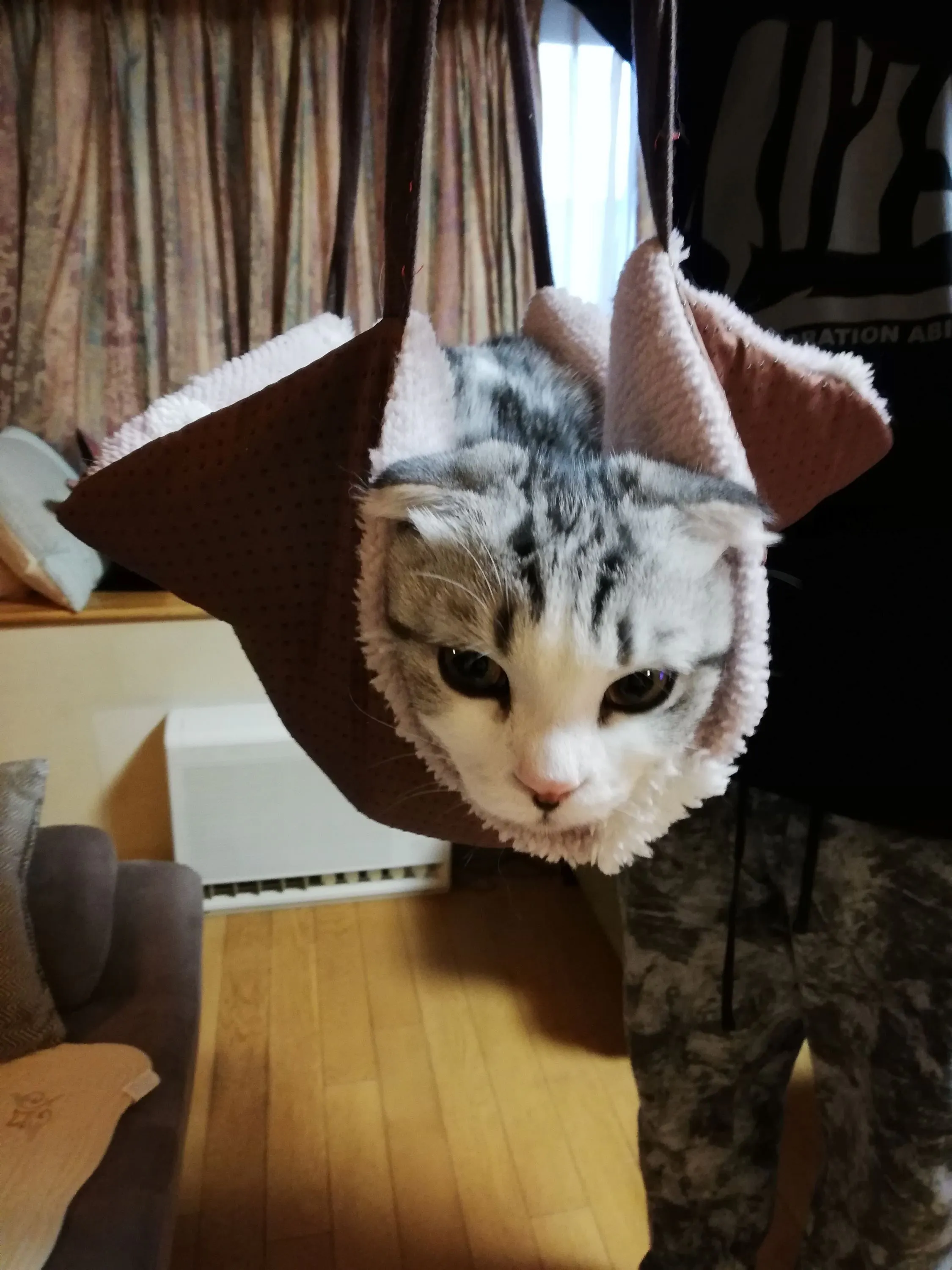 4番目のメイン画像