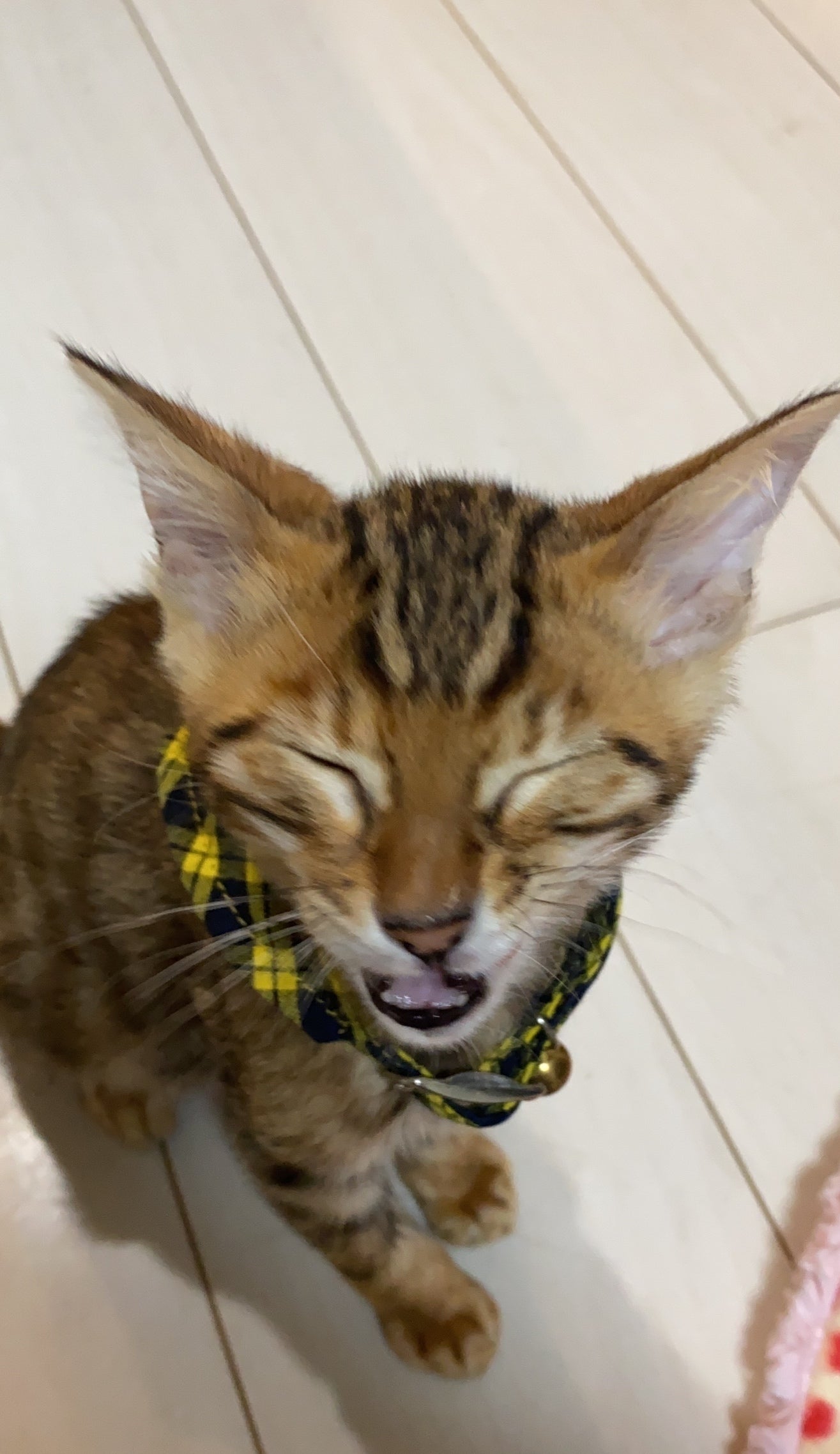 4番目のメイン画像