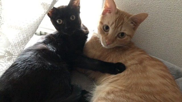 2番目のメイン画像