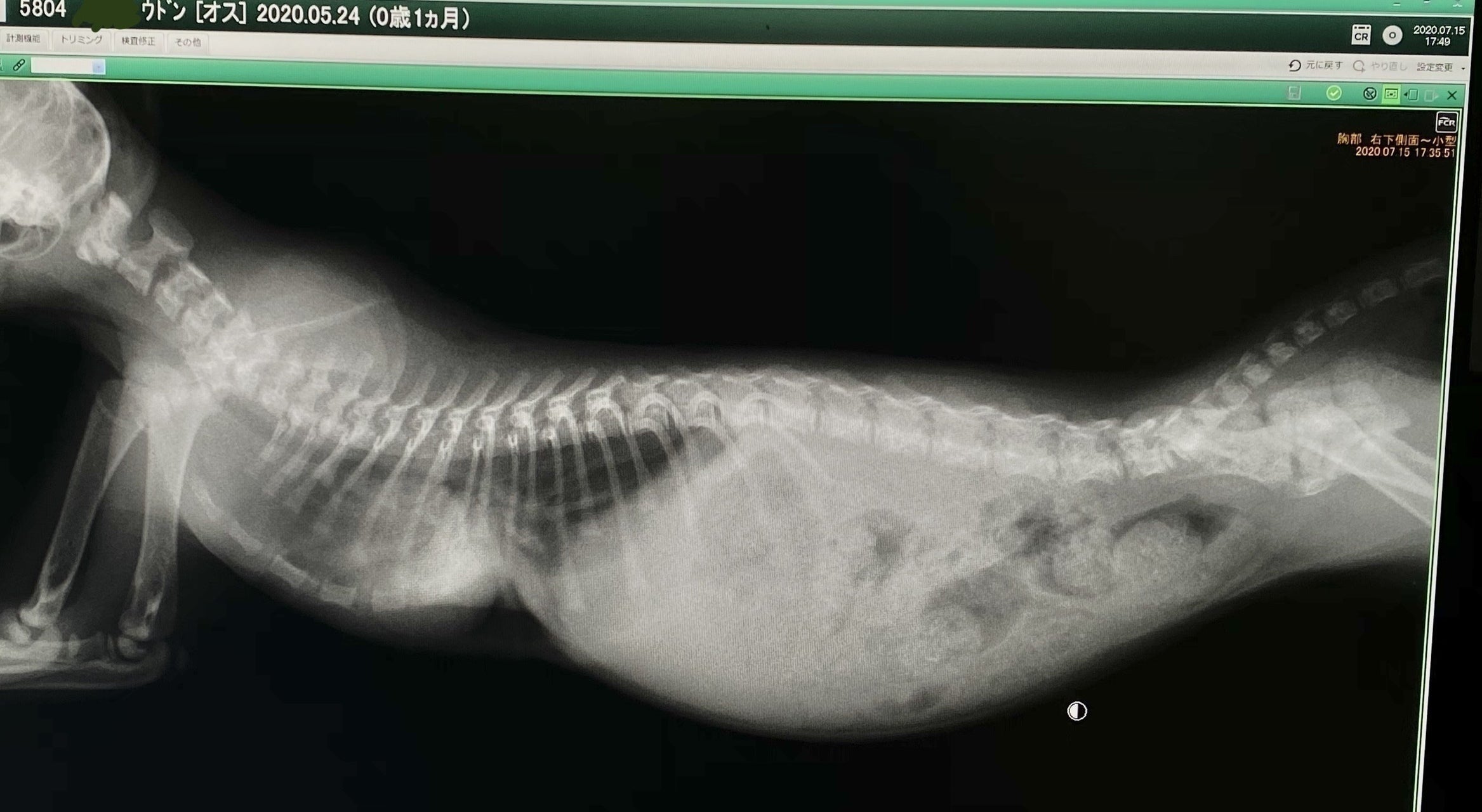 2番目のメイン画像