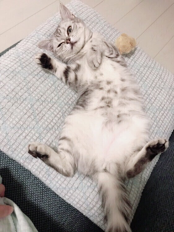 4番目のメイン画像