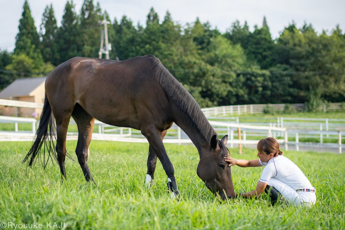馬旅倶楽部 みんなで引退競走馬を育てよう!