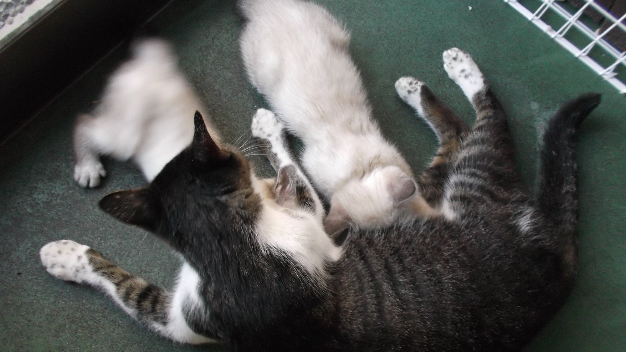 5番目のメイン画像