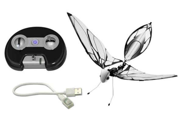 5番目のメイン画像