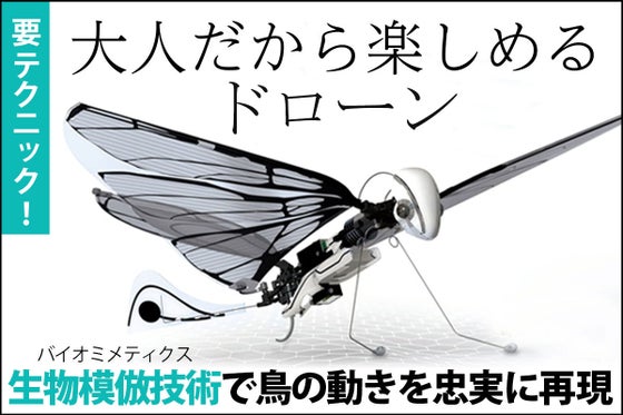 MetaFly