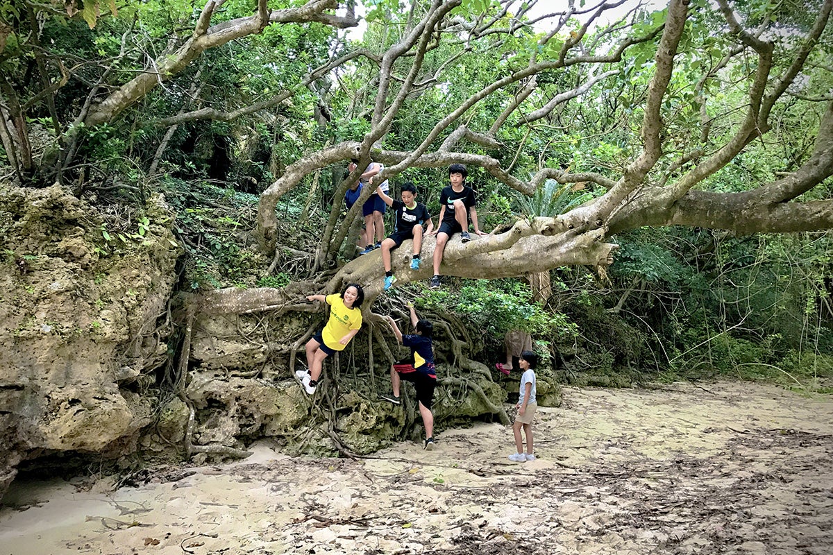 2番目のメイン画像