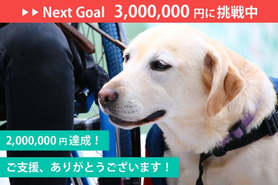 コロナ禍!募金が0円!育成が崖っぷち。湘南から介助犬・聴導犬を届けたい!