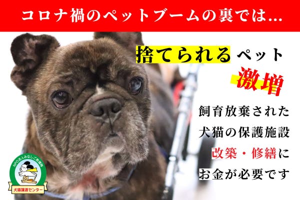 捨てられた犬猫たちの保護施設を完成させたい Campfire キャンプファイヤー