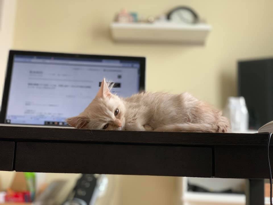 5番目のメイン画像