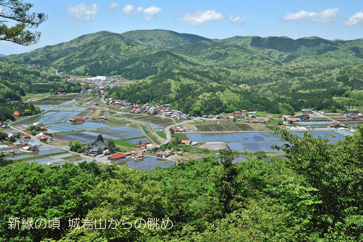 2番目のメイン画像