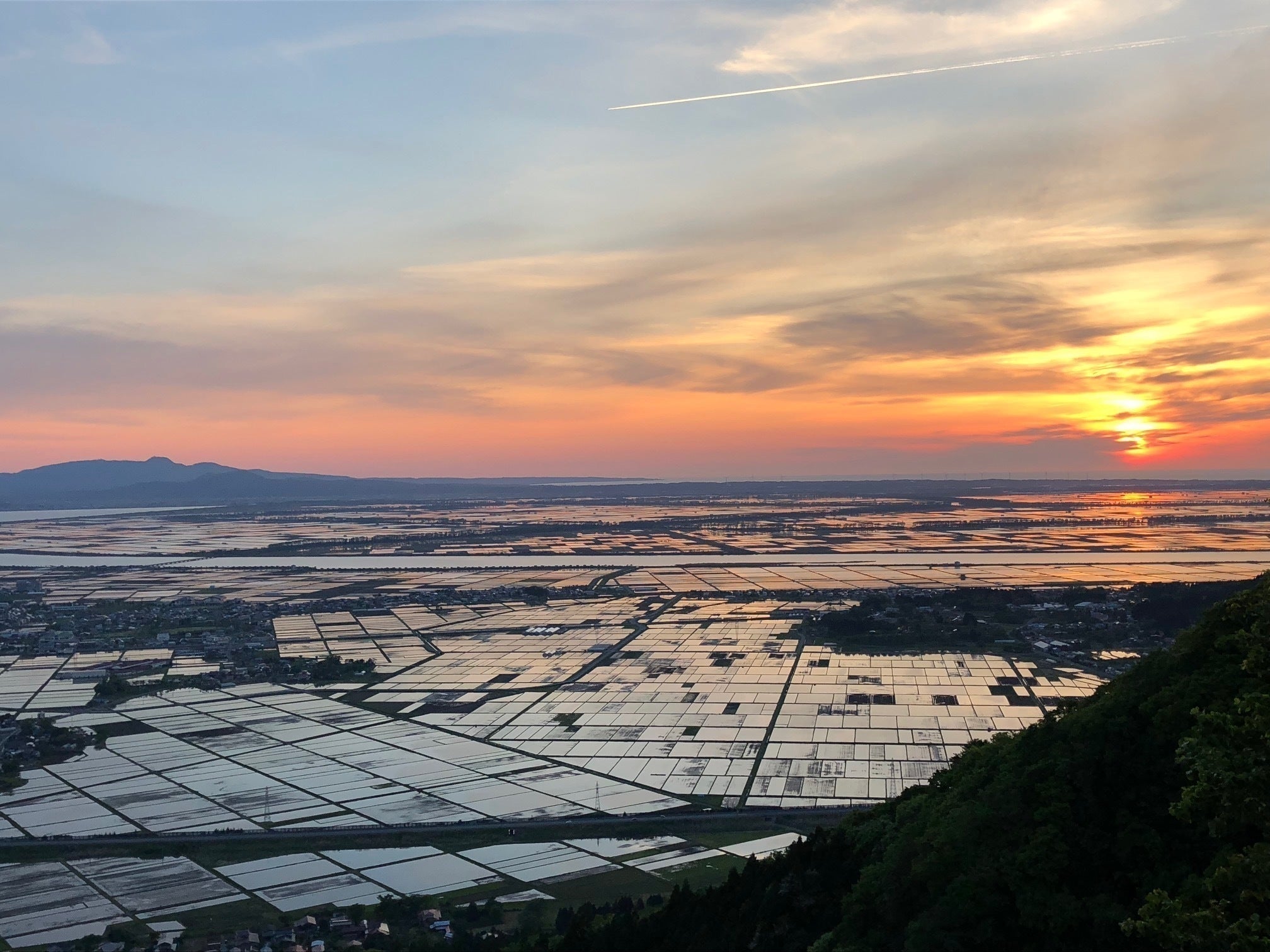 秋田県・福禄寿酒造】日本酒プロジェクト2020ー全国の酒蔵が緊急支援を