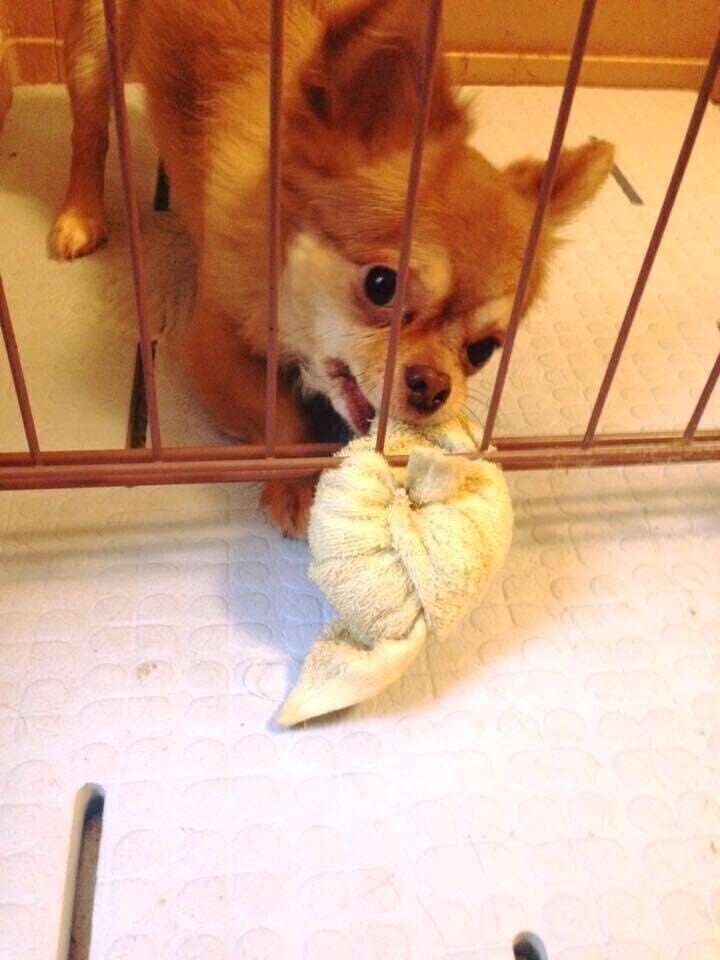 3番目のメイン画像