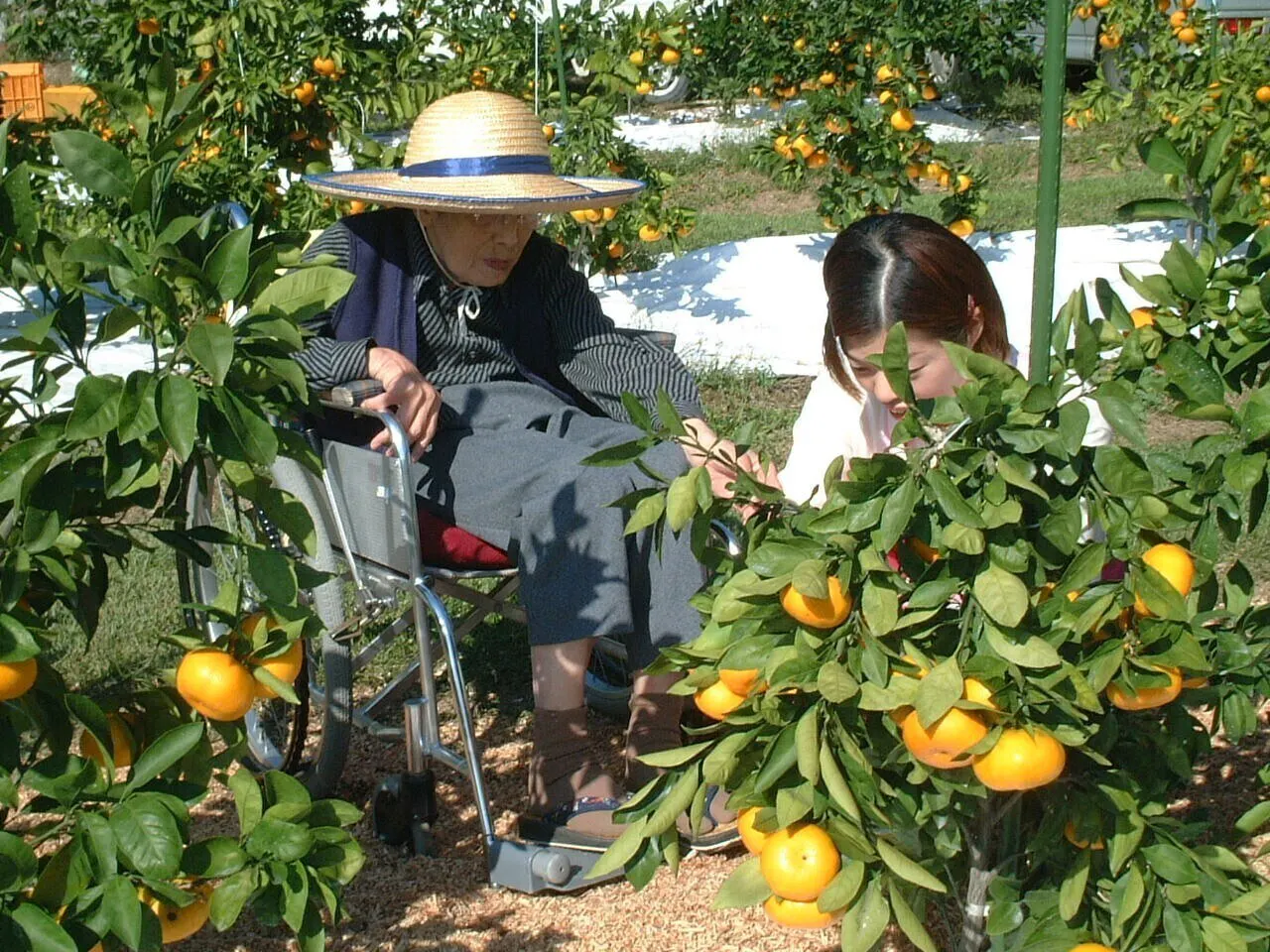 2番目のメイン画像