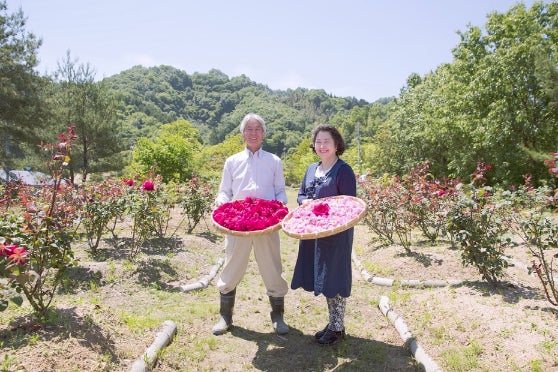 食用バラ花摘み バラジュース作り体験 Campfire キャンプファイヤー