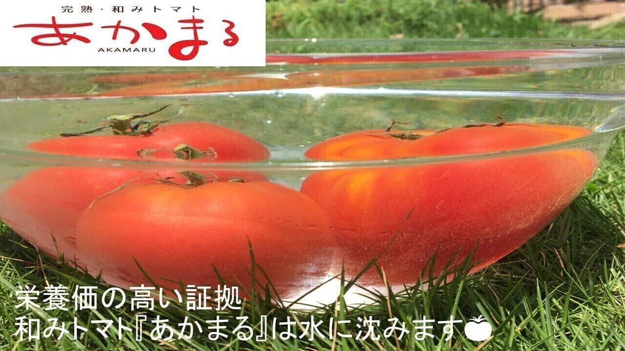 農園で食べてもらえなかったイチゴやトマトを救ってあげてください CAMPFIRE (キャンプファイヤー)