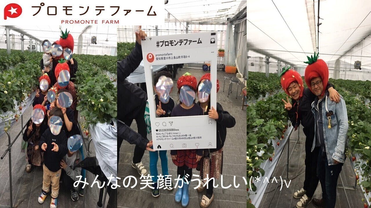農園で食べてもらえなかったイチゴやトマトを救ってあげてください Campfire キャンプファイヤー 農園で食べてもらえなかったイチゴやトマトを救ってあげてください Campfire キャンプファイヤー