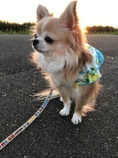 5番目のメイン画像