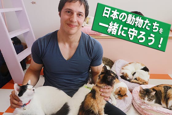 日本の動物たちを一緒に守ろう