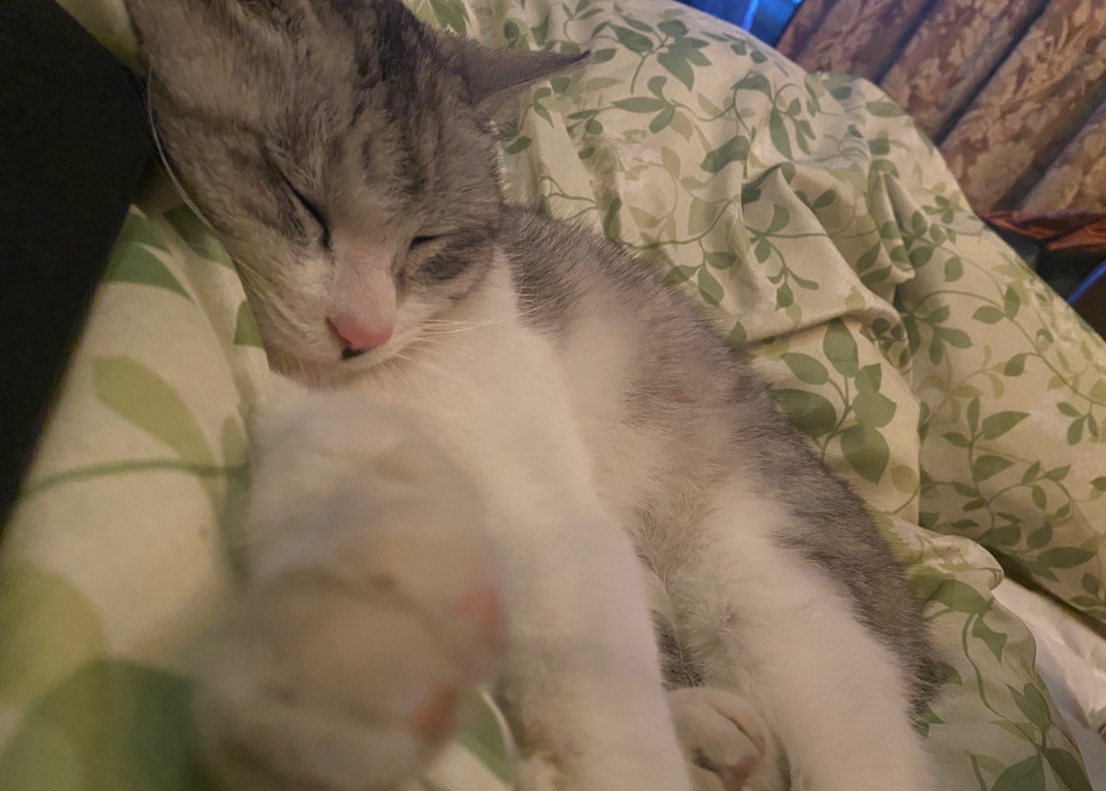 5番目のメイン画像