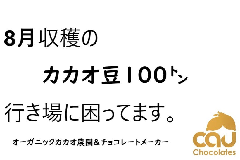 8月9月限定help コロナで行き場を失ったバリ島のカカオ豆１００ へのコメント Campfire キャンプファイヤー